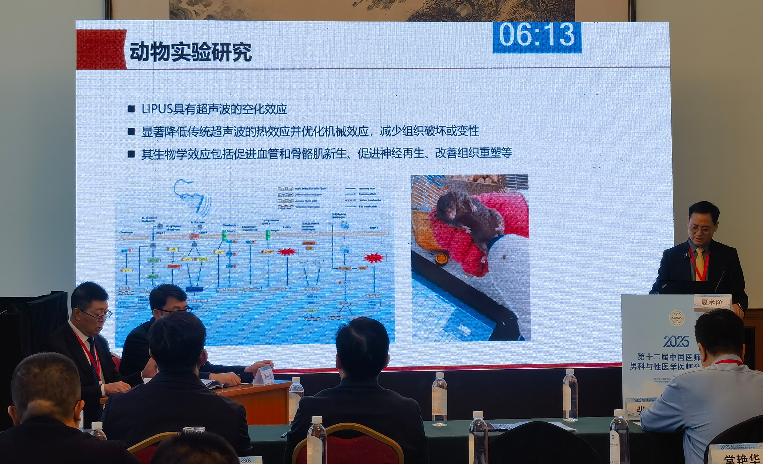 1764726805143462.jpg 6.13.jpg