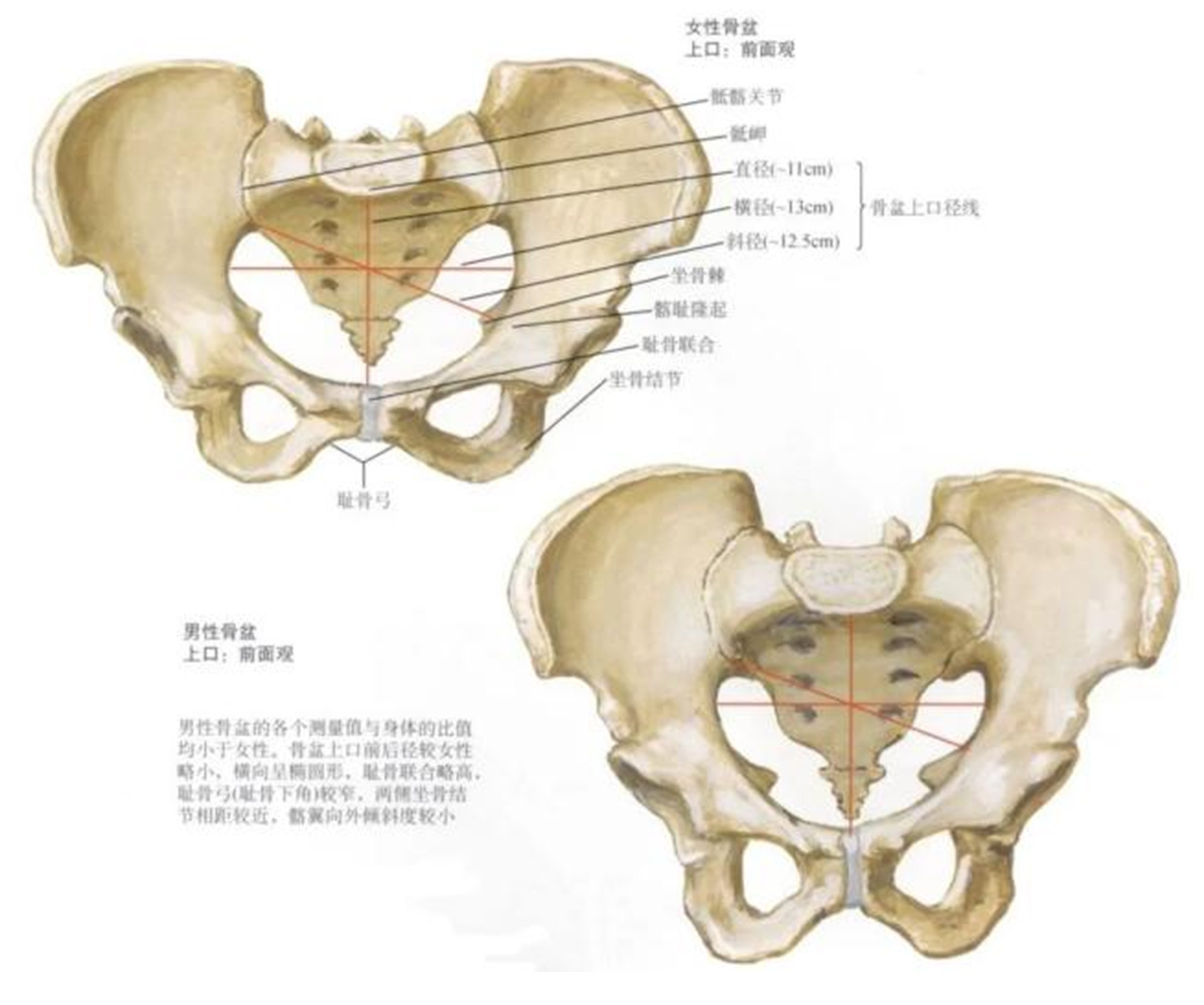 1765176142827304.jpg 3.jpg