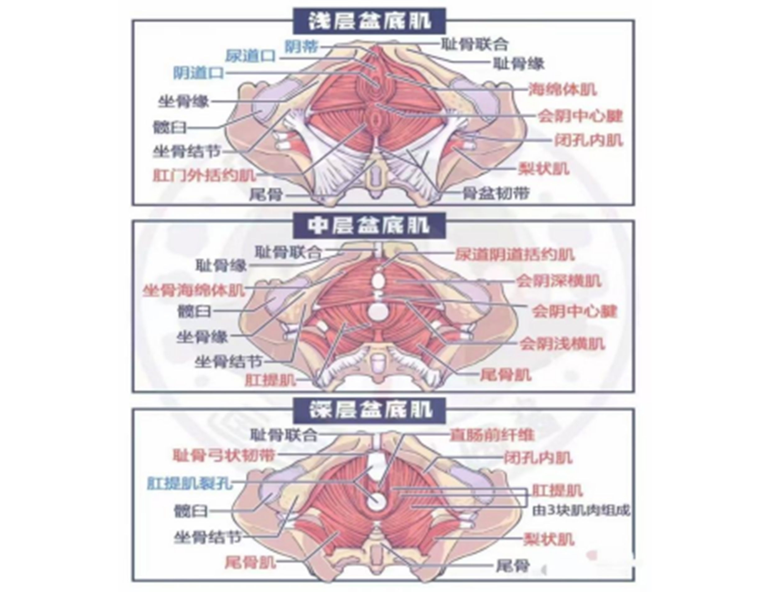 1765176182984863.jpg 4.jpg