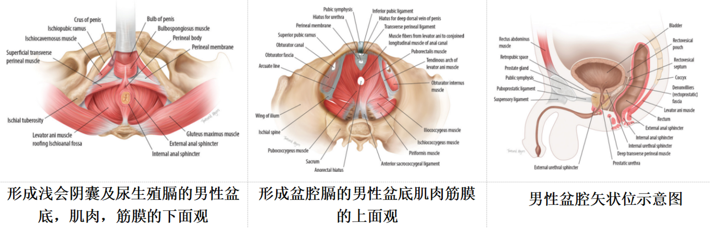 1765176203252661.jpg 5.jpg