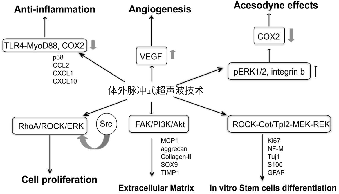 1765176251454922.png 微信图片_2025-12-05_141553_032.png