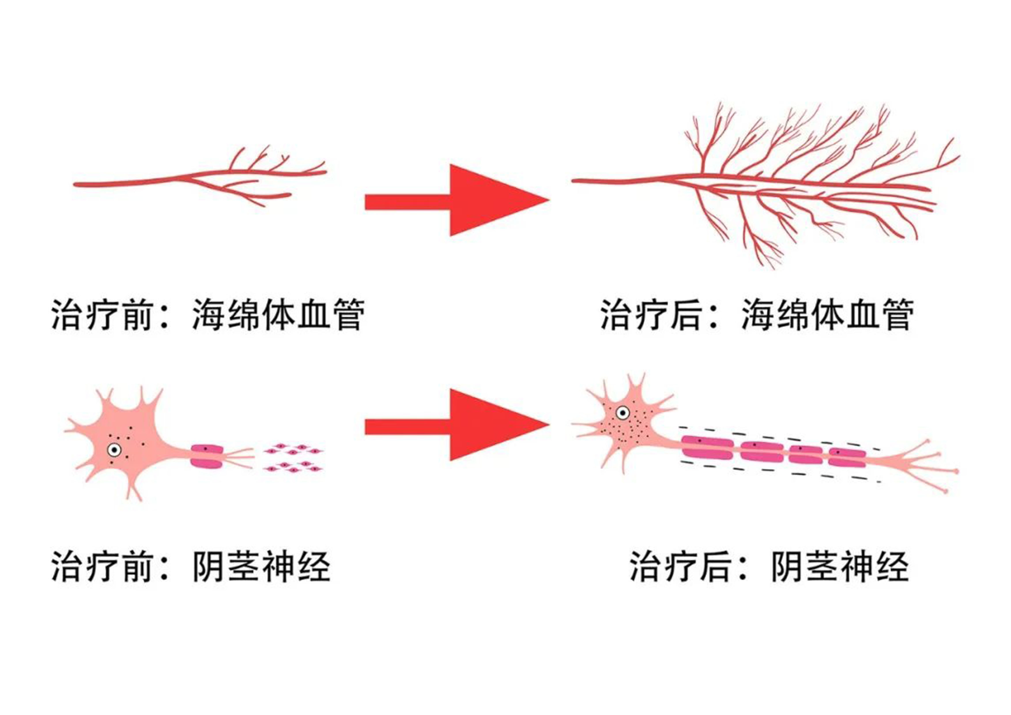 1770017215513155.jpg 640.jpg